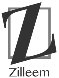 Zilleem Logo Transparent