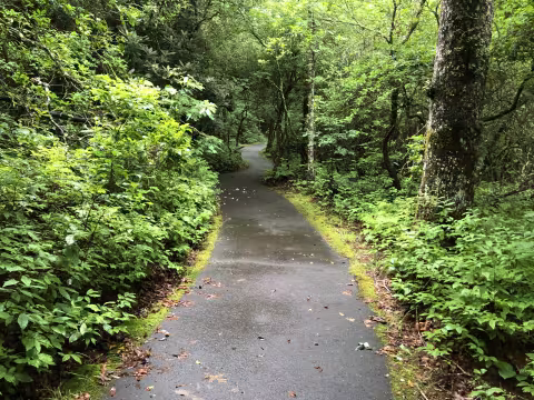 Paved hiking trail at the Cradle of Forestry.