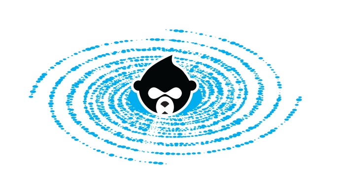 Drupal Camp Asheville 2024 logo