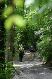 Two hikers on a flat gravel path.